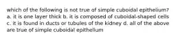 which of the following is not true of simple cuboidal epithelium? a. it is one layer thick b. it is composed of cuboidal-shaped cells c. it is found in ducts or tubules of the kidney d. all of the above are true of simple cuboidal epithelium