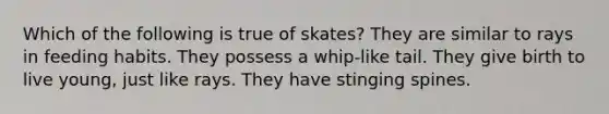 Which of the following is true of skates? They are similar to rays in feeding habits. They possess a whip-like tail. They give birth to live young, just like rays. They have stinging spines.