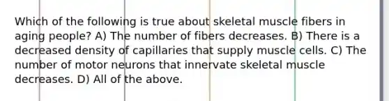 Which of the following is true about skeletal muscle fibers in aging people? A) The number of fibers decreases. B) There is a decreased density of capillaries that supply muscle cells. C) The number of motor neurons that innervate skeletal muscle decreases. D) All of the above.