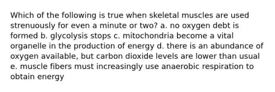 Which of the following is true when skeletal muscles are used strenuously for even a minute or two? a. no oxygen debt is formed b. glycolysis stops c. mitochondria become a vital organelle in the production of energy d. there is an abundance of oxygen available, but carbon dioxide levels are lower than usual e. muscle fibers must increasingly use anaerobic respiration to obtain energy