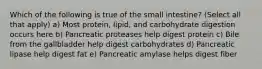 Which of the following is true of the small intestine? (Select all that apply) a) Most protein, lipid, and carbohydrate digestion occurs here b) Pancreatic proteases help digest protein c) Bile from the gallbladder help digest carbohydrates d) Pancreatic lipase help digest fat e) Pancreatic amylase helps digest fiber