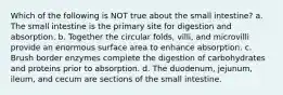 Which of the following is NOT true about the small intestine? a. The small intestine is the primary site for digestion and absorption. b. Together the circular folds, villi, and microvilli provide an enormous surface area to enhance absorption. c. Brush border enzymes complete the digestion of carbohydrates and proteins prior to absorption. d. The duodenum, jejunum, ileum, and cecum are sections of the small intestine.