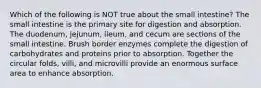 Which of the following is NOT true about the small intestine? The small intestine is the primary site for digestion and absorption. The duodenum, jejunum, ileum, and cecum are sections of the small intestine. Brush border enzymes complete the digestion of carbohydrates and proteins prior to absorption. Together the circular folds, villi, and microvilli provide an enormous surface area to enhance absorption.