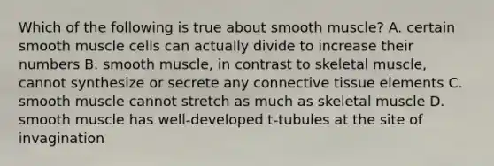 Which of the following is true about smooth muscle? A. certain smooth muscle cells can actually divide to increase their numbers B. smooth muscle, in contrast to skeletal muscle, cannot synthesize or secrete any connective tissue elements C. smooth muscle cannot stretch as much as skeletal muscle D. smooth muscle has well-developed t-tubules at the site of invagination