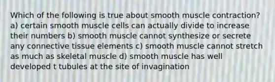 Which of the following is true about smooth muscle contraction? a) certain smooth muscle cells can actually divide to increase their numbers b) smooth muscle cannot synthesize or secrete any connective tissue elements c) smooth muscle cannot stretch as much as skeletal muscle d) smooth muscle has well developed t tubules at the site of invagination