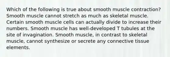 Which of the following is true about smooth muscle contraction? Smooth muscle cannot stretch as much as skeletal muscle. Certain smooth muscle cells can actually divide to increase their numbers. Smooth muscle has well-developed T tubules at the site of invagination. Smooth muscle, in contrast to skeletal muscle, cannot synthesize or secrete any connective tissue elements.