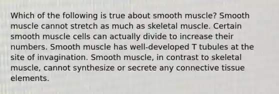 Which of the following is true about smooth muscle? Smooth muscle cannot stretch as much as skeletal muscle. Certain smooth muscle cells can actually divide to increase their numbers. Smooth muscle has well-developed T tubules at the site of invagination. Smooth muscle, in contrast to skeletal muscle, cannot synthesize or secrete any connective tissue elements.