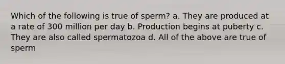 Which of the following is true of sperm? a. They are produced at a rate of 300 million per day b. Production begins at puberty c. They are also called spermatozoa d. All of the above are true of sperm