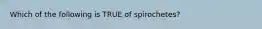 Which of the following is TRUE of spirochetes?