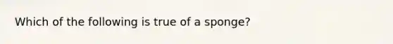 Which of the following is true of a sponge?