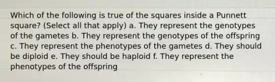 Which of the following is true of the squares inside a Punnett square? (Select all that apply) a. They represent the genotypes of the gametes b. They represent the genotypes of the offspring c. They represent the phenotypes of the gametes d. They should be diploid e. They should be haploid f. They represent the phenotypes of the offspring