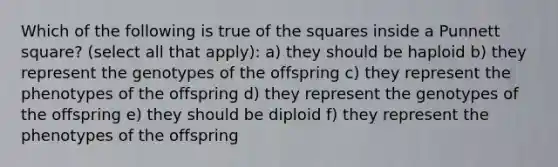 Which of the following is true of the squares inside a Punnett square? (select all that apply): a) they should be haploid b) they represent the genotypes of the offspring c) they represent the phenotypes of the offspring d) they represent the genotypes of the offspring e) they should be diploid f) they represent the phenotypes of the offspring