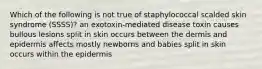 Which of the following is not true of staphylococcal scalded skin syndrome (SSSS)? an exotoxin-mediated disease toxin causes bullous lesions split in skin occurs between the dermis and epidermis affects mostly newborns and babies split in skin occurs within the epidermis