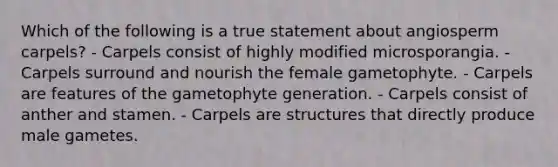 Which of the following is a true statement about angiosperm carpels? - Carpels consist of highly modified microsporangia. - Carpels surround and nourish the female gametophyte. - Carpels are features of the gametophyte generation. - Carpels consist of anther and stamen. - Carpels are structures that directly produce male gametes.