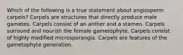 Which of the following is a true statement about angiosperm carpels? Carpels are structures that directly produce male gametes. Carpels consist of an anther and a stamen. Carpels surround and nourish the female gametophyte. Carpels consist of highly modified microsporangia. Carpels are features of the gametophyte generation.