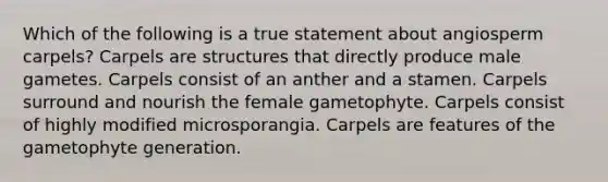 Which of the following is a true statement about angiosperm carpels? Carpels are structures that directly produce male gametes. Carpels consist of an anther and a stamen. Carpels surround and nourish the female gametophyte. Carpels consist of highly modified microsporangia. Carpels are features of the gametophyte generation.