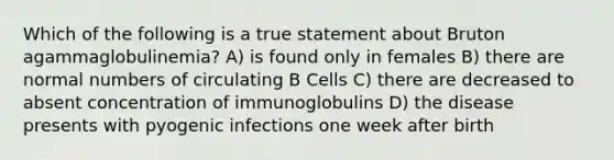 Which of the following is a true statement about Bruton agammaglobulinemia? A) is found only in females B) there are normal numbers of circulating B Cells C) there are decreased to absent concentration of immunoglobulins D) the disease presents with pyogenic infections one week after birth