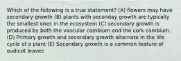Which of the following is a true statement? (A) flowers may have secondary growth (B) plants with seconday growth are typically the smallest ones in the ecosystem (C) secondary growth is produced by both the vascular cambium and the cork cambium. (D) Primary growth and secondary growth alternate in the life cycle of a plant (E) Secondary growth is a common feature of eudicot leaves