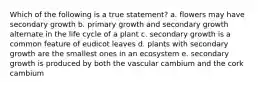 Which of the following is a true statement? a. flowers may have secondary growth b. primary growth and secondary growth alternate in the life cycle of a plant c. secondary growth is a common feature of eudicot leaves d. plants with secondary growth are the smallest ones in an ecosystem e. secondary growth is produced by both the vascular cambium and the cork cambium