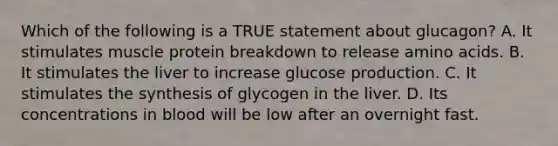 Which of the following is a TRUE statement about glucagon? A. It stimulates muscle protein breakdown to release amino acids. B. It stimulates the liver to increase glucose production. C. It stimulates the synthesis of glycogen in the liver. D. Its concentrations in blood will be low after an overnight fast.