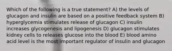 Which of the following is a true statement? A) the levels of glucagon and insulin are based on a positive feedback system B) hyperglycemia stimulates release of glucagon C) insulin increases glycogenesis and lipogenesis D) glucagon stimulates kidney cells to releases glucose into the blood E) blood amino acid level is the most important regulator of insulin and glucagon