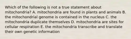 Which of the following is not a true statement about mitochondria? A. mitochondria are found in plants and animals B. the mitochondrial genome is contained in the nucleus C. the mitochondria duplicate themselves D. mitochondria are sites for <a href='https://www.questionai.com/knowledge/k1IqNYBAJw-cellular-respiration' class='anchor-knowledge'>cellular respiration</a> E. the mitochondria transcribe and translate their own genetic information