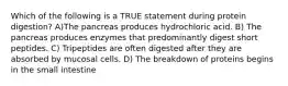 Which of the following is a TRUE statement during protein digestion? A)The pancreas produces hydrochloric acid. B) The pancreas produces enzymes that predominantly digest short peptides. C) Tripeptides are often digested after they are absorbed by mucosal cells. D) The breakdown of proteins begins in the small intestine