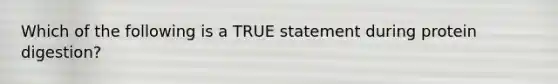 Which of the following is a TRUE statement during protein digestion?