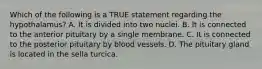 Which of the following is a TRUE statement regarding the hypothalamus? A. It is divided into two nuclei. B. It is connected to the anterior pituitary by a single membrane. C. It is connected to the posterior pituitary by blood vessels. D. The pituitary gland is located in the sella turcica.
