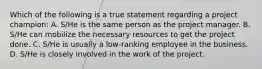 Which of the following is a true statement regarding a project champion: A. S/He is the same person as the project manager. B. S/He can mobilize the necessary resources to get the project done. C. S/He is usually a low-ranking employee in the business. D. S/He is closely involved in the work of the project.