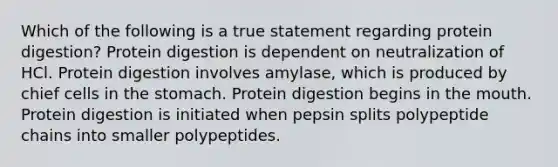 Which of the following is a true statement regarding protein digestion? Protein digestion is dependent on neutralization of HCl. Protein digestion involves amylase, which is produced by chief cells in the stomach. Protein digestion begins in the mouth. Protein digestion is initiated when pepsin splits polypeptide chains into smaller polypeptides.