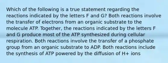 Which of the following is a true statement regarding the reactions indicated by the letters F and G? Both reactions involve the transfer of electrons from an organic substrate to the molecule ATP. Together, the reactions indicated by the letters F and G produce most of the ATP synthesized during cellular respiration. Both reactions involve the transfer of a phosphate group from an organic substrate to ADP. Both reactions include the synthesis of ATP powered by the diffusion of H+ ions