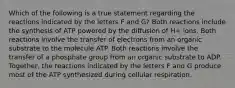 Which of the following is a true statement regarding the reactions indicated by the letters F and G? Both reactions include the synthesis of ATP powered by the diffusion of H+ ions. Both reactions involve the transfer of electrons from an organic substrate to the molecule ATP. Both reactions involve the transfer of a phosphate group from an organic substrate to ADP. Together, the reactions indicated by the letters F and G produce most of the ATP synthesized during cellular respiration.