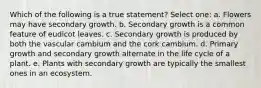 Which of the following is a true statement? Select one: a. Flowers may have secondary growth. b. Secondary growth is a common feature of eudicot leaves. c. Secondary growth is produced by both the vascular cambium and the cork cambium. d. Primary growth and secondary growth alternate in the life cycle of a plant. e. Plants with secondary growth are typically the smallest ones in an ecosystem.