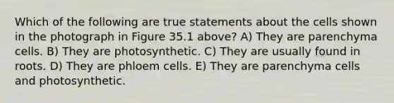 Which of the following are true statements about the cells shown in the photograph in Figure 35.1 above? A) They are parenchyma cells. B) They are photosynthetic. C) They are usually found in roots. D) They are phloem cells. E) They are parenchyma cells and photosynthetic.