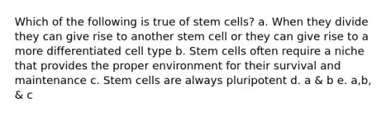 Which of the following is true of stem cells? a. When they divide they can give rise to another stem cell or they can give rise to a more differentiated cell type b. Stem cells often require a niche that provides the proper environment for their survival and maintenance c. Stem cells are always pluripotent d. a & b e. a,b, & c