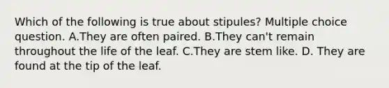 Which of the following is true about stipules? Multiple choice question. A.They are often paired. B.They can't remain throughout the life of the leaf. C.They are stem like. D. They are found at the tip of the leaf.