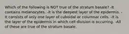 Which of the following is NOT true of the stratum basale? -It contains melanocytes. -It is the deepest layer of the epidermis. -It consists of only one layer of cuboidal or columnar cells. -It is the layer of the epidermis in which cell division is occurring. -All of these are true of the stratum basale.