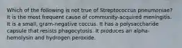 Which of the following is not true of Streptococcus pneumoniae? It is the most frequent cause of community-acquired meningitis. It is a small, gram-negative coccus. It has a polysaccharide capsule that resists phagocytosis. It produces an alpha-hemolysin and hydrogen peroxide.