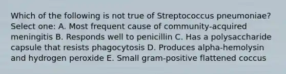 Which of the following is not true of Streptococcus pneumoniae? Select one: A. Most frequent cause of community-acquired meningitis B. Responds well to penicillin C. Has a polysaccharide capsule that resists phagocytosis D. Produces alpha-hemolysin and hydrogen peroxide E. Small gram-positive flattened coccus