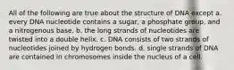 All of the following are true about the structure of DNA except a. every DNA nucleotide contains a sugar, a phosphate group, and a nitrogenous base. b. the long strands of nucleotides are twisted into a double helix. c. DNA consists of two strands of nucleotides joined by hydrogen bonds. d. single strands of DNA are contained in chromosomes inside the nucleus of a cell.