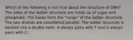 Which of the following is not true about the structure of DNA? The sides of the ladder structure are made up of sugar and phosphate. The bases form the "rungs" of the ladder structure. The two strands are considered parallel. The ladder structure is twisted into a double helix. A always pairs with T and G always pairs with C.