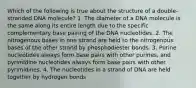 Which of the following is true about the structure of a double-stranded DNA molecule? 1. The diameter of a DNA molecule is the same along its entire length due to the specific complementary base pairing of the DNA nucleotides. 2. The nitrogenous bases in one strand are held to the nitrogenous bases of the other strand by phosphodiester bonds. 3. Purine nucleotides always form base pairs with other purines, and pyrimidine nucleotides always form base pairs with other pyrimidines. 4. The nucleotides in a strand of DNA are held together by hydrogen bonds