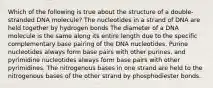 Which of the following is true about the structure of a double-stranded DNA molecule? The nucleotides in a strand of DNA are held together by hydrogen bonds The diameter of a DNA molecule is the same along its entire length due to the specific complementary base pairing of the DNA nucleotides. Purine nucleotides always form base pairs with other purines, and pyrimidine nucleotides always form base pairs with other pyrimidines. The nitrogenous bases in one strand are held to the nitrogenous bases of the other strand by phosphodiester bonds.