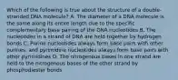 Which of the following is true about the structure of a double-stranded DNA molecule? A. The diameter of a DNA molecule is the same along its entire length due to the specific complementary base pairing of the DNA nucleotides B. The nucleotides in a strand of DNA are held together by hydrogen bonds C. Purine nucleotides always form base pairs with other purines, and pyrimidine nucleotides always form base pairs with other pyrimidines D. The nitrogenous bases in one strand are held to the nitrogenous bases of the other strand by phosphodiester bonds