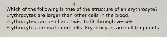 Which of the following is true of the structure of an erythrocyte? Erythrocytes are larger than other cells in the blood. Erythrocytes can bend and twist to fit through vessels. Erythrocytes are nucleated cells. Erythrocytes are cell fragments.