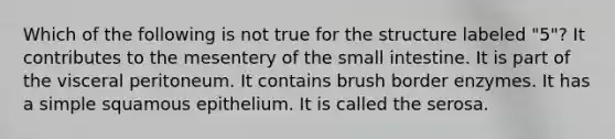 Which of the following is not true for the structure labeled "5"? It contributes to the mesentery of <a href='https://www.questionai.com/knowledge/kt623fh5xn-the-small-intestine' class='anchor-knowledge'>the small intestine</a>. It is part of the visceral peritoneum. It contains brush border enzymes. It has a simple squamous epithelium. It is called the serosa.