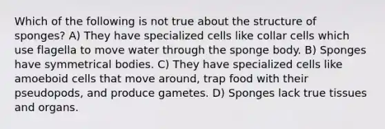 Which of the following is not true about the structure of sponges? A) They have specialized cells like collar cells which use flagella to move water through the sponge body. B) Sponges have symmetrical bodies. C) They have specialized cells like amoeboid cells that move around, trap food with their pseudopods, and produce gametes. D) Sponges lack true tissues and organs.