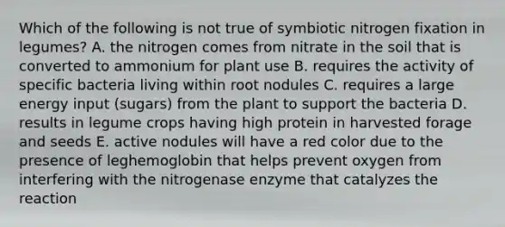 Which of the following is not true of symbiotic nitrogen fixation in legumes? A. the nitrogen comes from nitrate in the soil that is converted to ammonium for plant use B. requires the activity of specific bacteria living within root nodules C. requires a large energy input (sugars) from the plant to support the bacteria D. results in legume crops having high protein in harvested forage and seeds E. active nodules will have a red color due to the presence of leghemoglobin that helps prevent oxygen from interfering with the nitrogenase enzyme that catalyzes the reaction