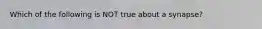 Which of the following is NOT true about a synapse?